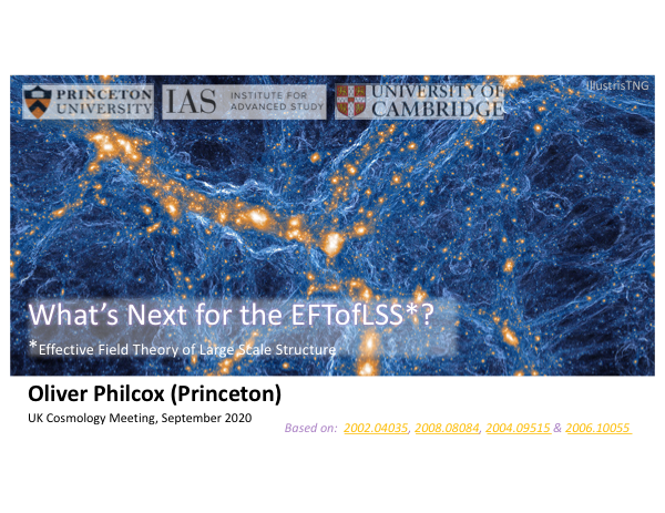 What's Next for the Effective Field Theory of Large Scale Structure?